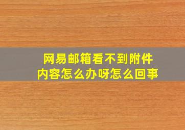 网易邮箱看不到附件内容怎么办呀怎么回事