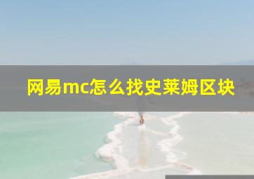 网易mc怎么找史莱姆区块