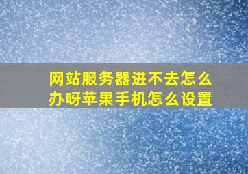 网站服务器进不去怎么办呀苹果手机怎么设置