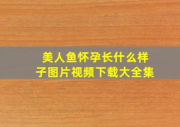 美人鱼怀孕长什么样子图片视频下载大全集