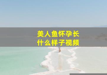 美人鱼怀孕长什么样子视频