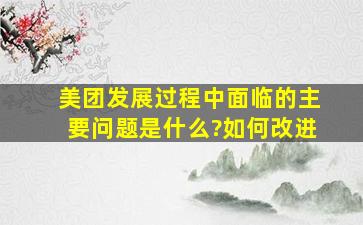 美团发展过程中面临的主要问题是什么?如何改进