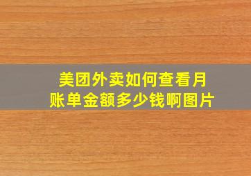 美团外卖如何查看月账单金额多少钱啊图片