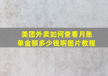 美团外卖如何查看月账单金额多少钱啊图片教程