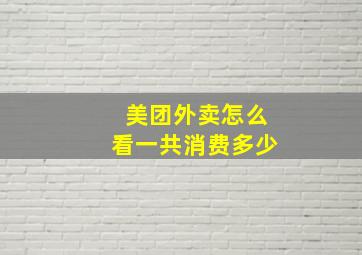 美团外卖怎么看一共消费多少