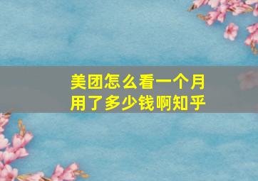 美团怎么看一个月用了多少钱啊知乎