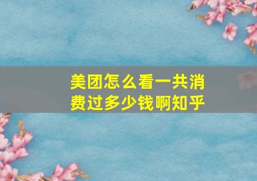 美团怎么看一共消费过多少钱啊知乎