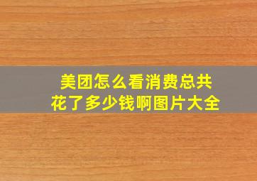 美团怎么看消费总共花了多少钱啊图片大全