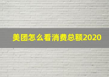 美团怎么看消费总额2020