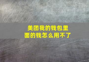 美团我的钱包里面的钱怎么用不了