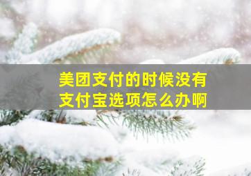 美团支付的时候没有支付宝选项怎么办啊