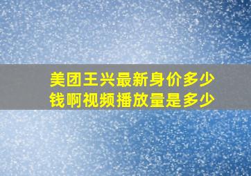 美团王兴最新身价多少钱啊视频播放量是多少