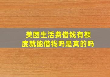 美团生活费借钱有额度就能借钱吗是真的吗