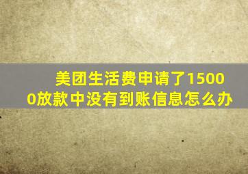 美团生活费申请了15000放款中没有到账信息怎么办