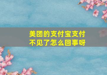 美团的支付宝支付不见了怎么回事呀