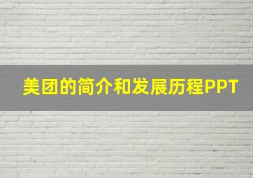 美团的简介和发展历程PPT