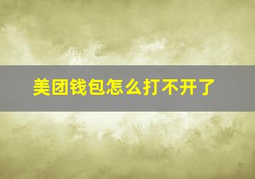 美团钱包怎么打不开了