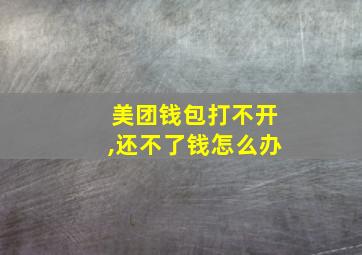 美团钱包打不开,还不了钱怎么办