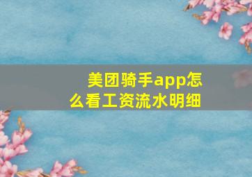 美团骑手app怎么看工资流水明细