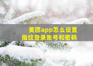 美团app怎么设置指纹登录账号和密码