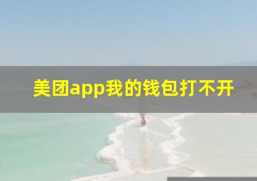 美团app我的钱包打不开