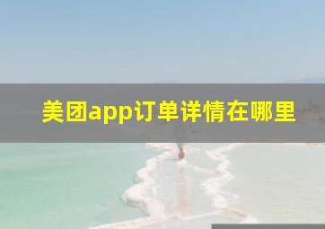 美团app订单详情在哪里