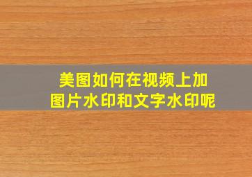 美图如何在视频上加图片水印和文字水印呢