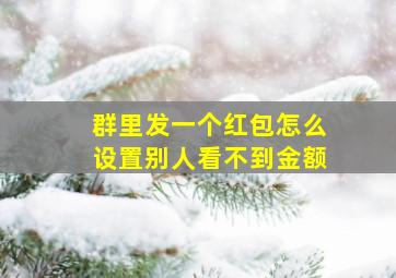 群里发一个红包怎么设置别人看不到金额