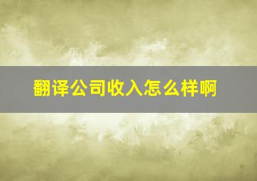 翻译公司收入怎么样啊