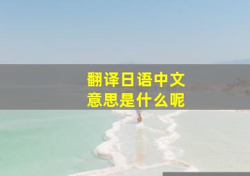 翻译日语中文意思是什么呢