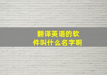 翻译英语的软件叫什么名字啊