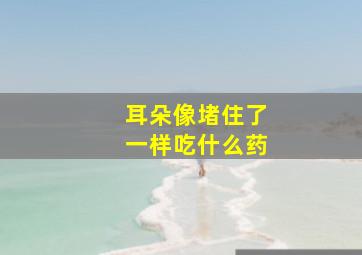 耳朵像堵住了一样吃什么药