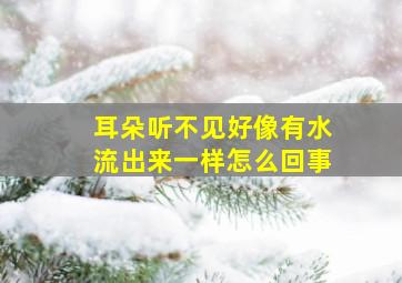 耳朵听不见好像有水流出来一样怎么回事