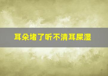 耳朵堵了听不清耳屎湿