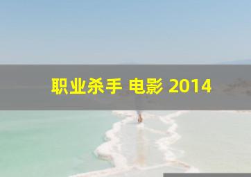 职业杀手 电影 2014