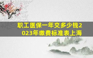 职工医保一年交多少钱2023年缴费标准表上海