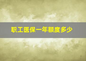 职工医保一年额度多少