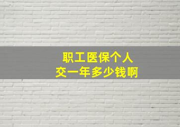 职工医保个人交一年多少钱啊