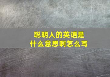 聪明人的英语是什么意思啊怎么写