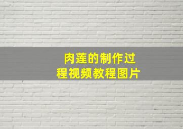 肉莲的制作过程视频教程图片