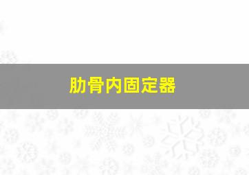 肋骨内固定器