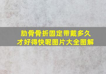 肋骨骨折固定带戴多久才好得快呢图片大全图解