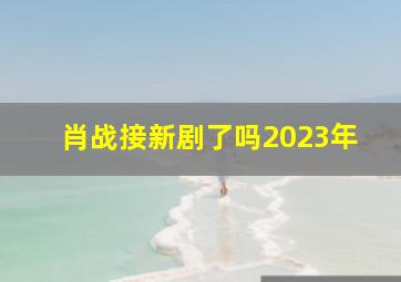 肖战接新剧了吗2023年