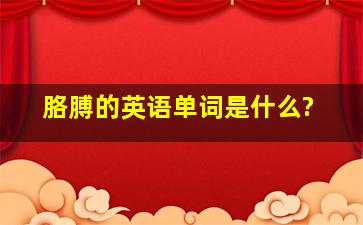 胳膊的英语单词是什么?