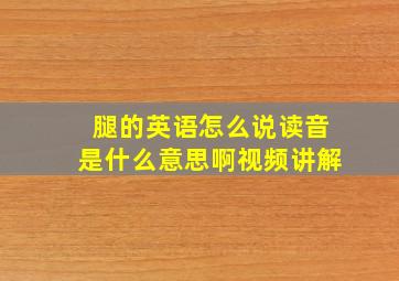 腿的英语怎么说读音是什么意思啊视频讲解