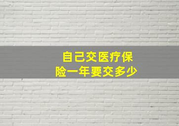 自己交医疗保险一年要交多少