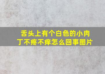 舌头上有个白色的小肉丁不疼不痒怎么回事图片