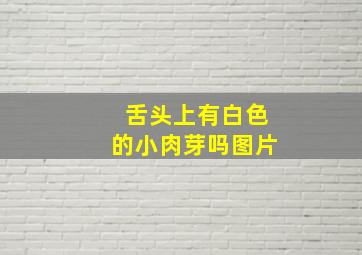 舌头上有白色的小肉芽吗图片