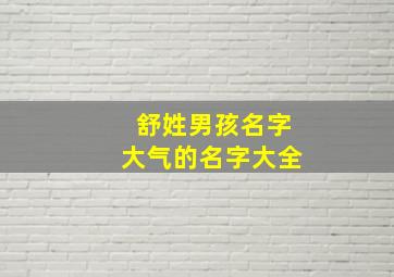 舒姓男孩名字大气的名字大全