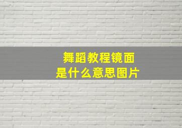 舞蹈教程镜面是什么意思图片